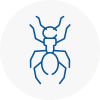 Ant Removals In Consett