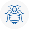 Bed Bug Extermination In Consett