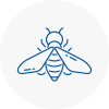 Bee Nest Removal Consett