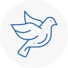Bird Prevention Consett