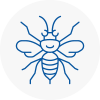 Consett Hornet Nest Removals
