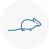 Mice Exterminators In Consett