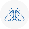 Moth Control Specialists In Consett
