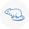 Rat Control Consett