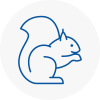 Consett Rodent Removals